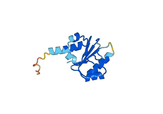 Recombinant Human VPS33A Protein, N-His