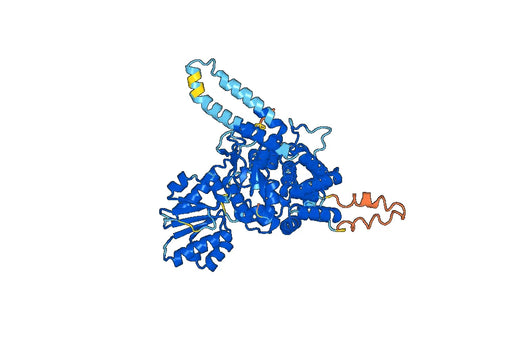 Recombinant Human VPS33B Protein, N-His
