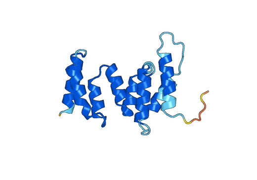Recombinant Human VPS8 Protein, N-His
