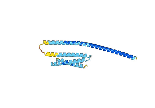 Recombinant Human VTI1A Protein, N-His