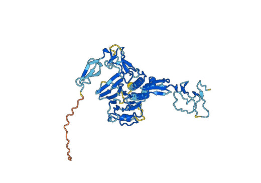 Recombinant Human VWF Protein, N-His-SUMO