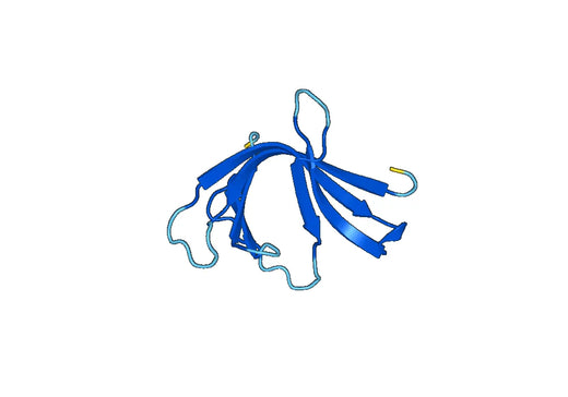 Recombinant Human WAS Protein, N-GST & C-His