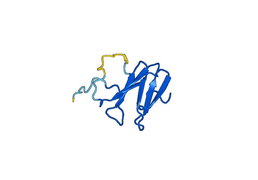 Recombinant Human WDR24 Protein, N-His-SUMO