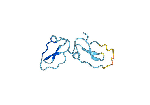 Recombinant Human WFDC2/WAP5 Protein, N-His-SUMO