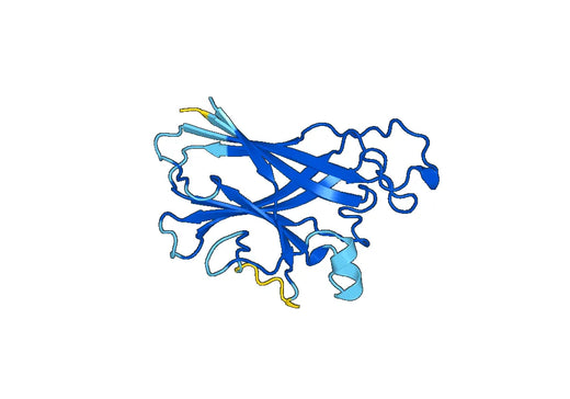 Recombinant Human WLS Protein, N-His