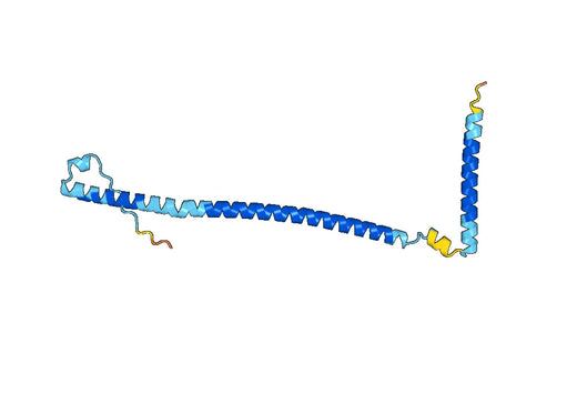 Recombinant Human WTAP, N-His