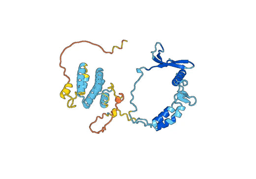 Recombinant Human XRCC5/Ku80, N-His