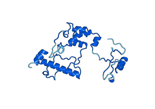 Recombinant Human XRN2 Protein, N-His