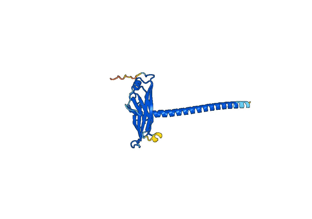 Recombinant Human YEATS4 Protein, N-GST