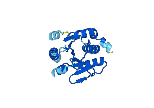 Recombinant Human YTHDC2 Protein, N-His