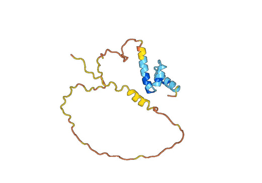 Recombinant Human ZC3H12A, N-His