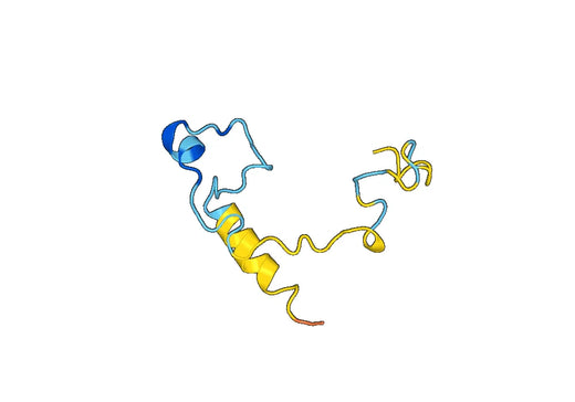 Recombinant Human ZFP36L1 Protein, N-His-SUMO