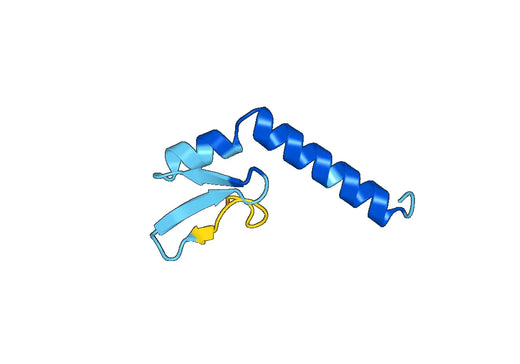 Recombinant Human ZMAT3 Protein, N-His-SUMO