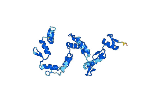 Recombinant Human ZNF671 Protein, N-His