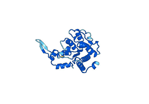 Recombinant Human ZRANB3 Protein, N-His