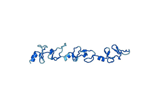 Recombinant Human ZYX, N-His