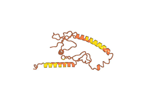 Recombinant Lassa virus/LASV GPC Protein, N-His