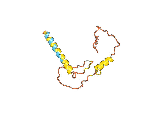 Recombinant MDV U2 protein Protein, N-His
