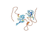 Recombinant MERS-CoV N/Nucleoprotein Protein, N-His