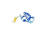 Recombinant Monkeypox virus/MPXV A36R Protein, N-His
