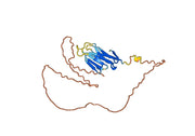 Recombinant Monkeypox virus/MPXV B2R/Hemagglutinin Protein, N-His