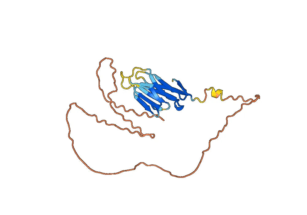 Recombinant Monkeypox virus/MPXV B2R/Hemagglutinin Protein, N-His