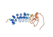 Recombinant Monkeypox virus/MPXV B5R Protein, N-His