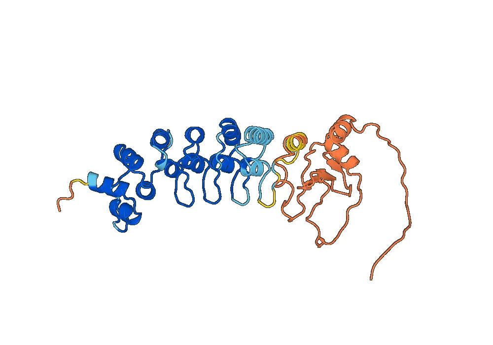 Recombinant Monkeypox virus/MPXV B5R Protein, N-His