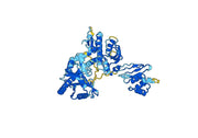 Recombinant Monkeypox virus/MPXV C18L Protein, N-His