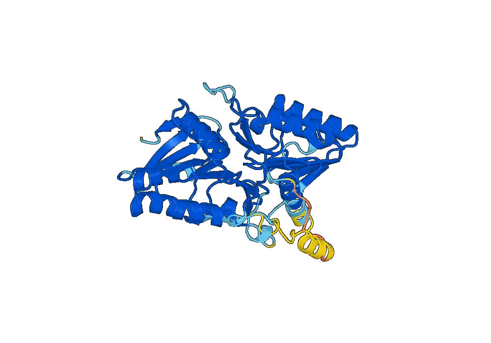 Recombinant Monkeypox virus/MPXV C19L Protein, N-His