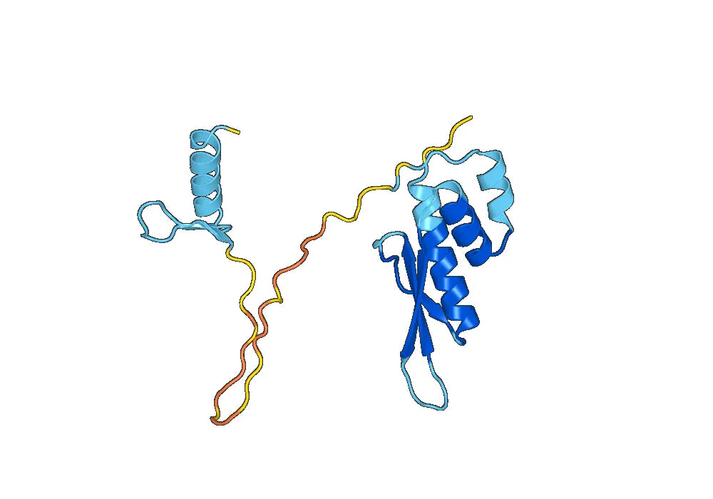 Recombinant Monkeypox virus/MPXV F3L Protein