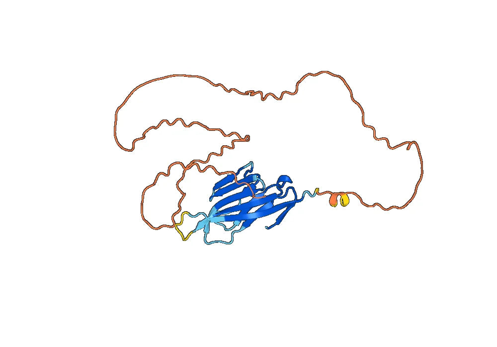 Recombinant Monkeypox virus/MPXV HA/B2R Protein