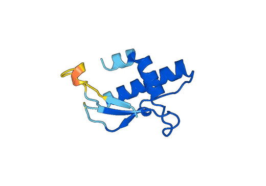 Recombinant Mouse ACE2 Protein, N-His