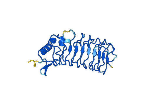 Recombinant Mouse AMIGO1 Protein, N-His
