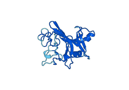 Recombinant Mouse ANGPT2/Ang2 Protein, N-His