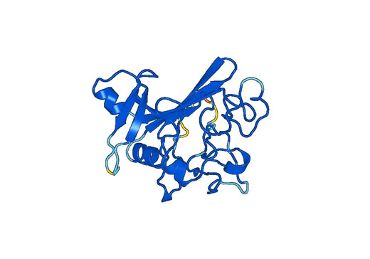 Recombinant Mouse ANGPT4 Protein, N-His
