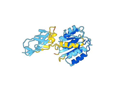 Recombinant Mouse ANTXR2 Protein, N-His