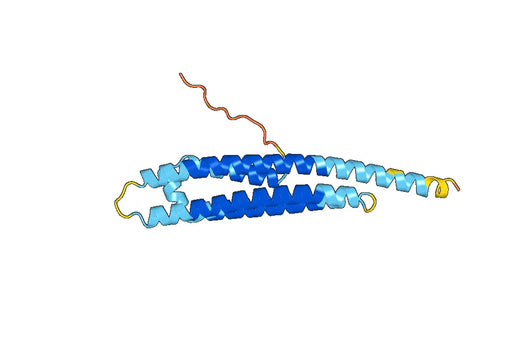 Recombinant Mouse APOE Protein, N-His