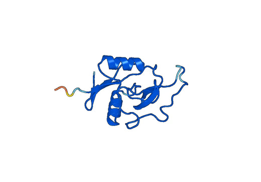 Recombinant Mouse ASGR1 Protein, N-His