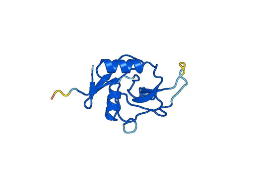 Recombinant Mouse ASGR2 Protein, N-His