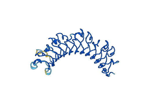 Recombinant Mouse BGN Protein, N-His