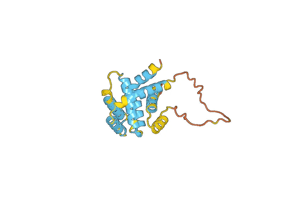 Recombinant Mouse BID Protein, N-His