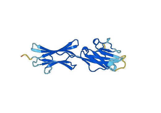 Recombinant Mouse BTN1A1 Protein, N-His