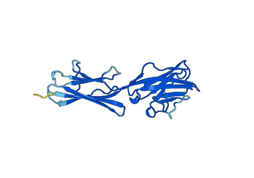 Recombinant Mouse Btnl1 Protein, N-His