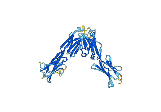 Recombinant Mouse BTNL2/BTL-II Protein, N-His