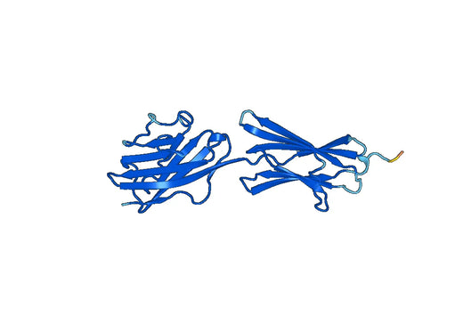 Recombinant Mouse Btnl4 Protein, N-His