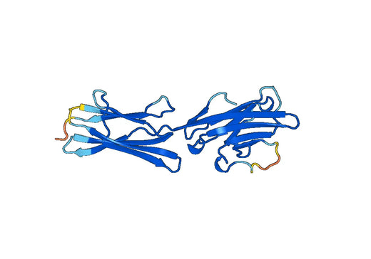 Recombinant Mouse BTNL9 Protein, N-His
