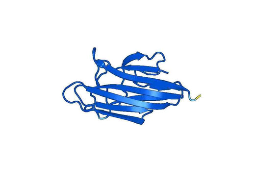 Recombinant Mouse C1QTNF9 Protein, N-GST & C-His
