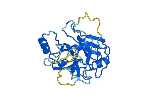 Recombinant Mouse C1ra Protein, N-His