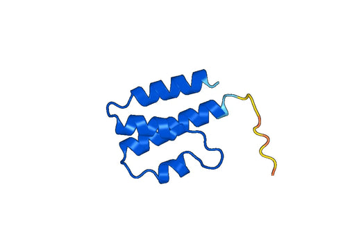 Recombinant Mouse C5/Complement C5 Protein, N-His-SUMO